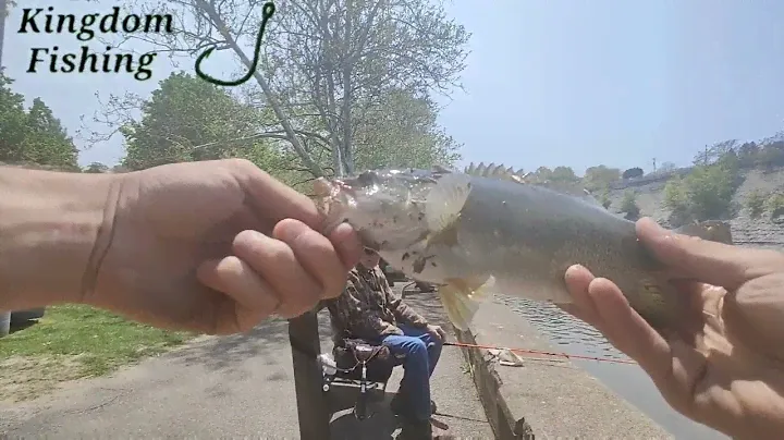First Smallmouth bass on First cast then a Largie on a "Keitech Swing Impact Fat"